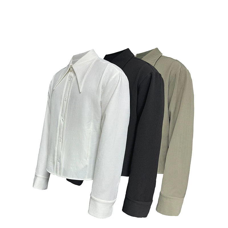 Sharp Collared Striped Pleated Shirt