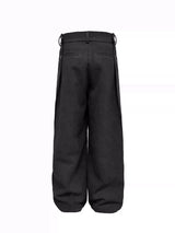 Pleated Wool Resin Button Pants