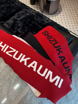 Color Block Letter Scarf