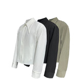 Sharp Collared Striped Pleated Shirt