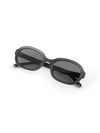 Matte Sunglasses